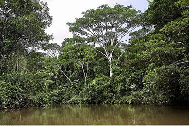 Humble Bundle简化服务 Humble Choice是唯一选项